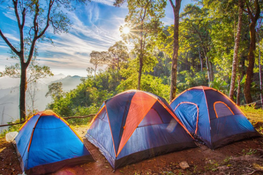 Gợi ý những điểm đến an toàn và thú vị cho gia đình có con nhỏ