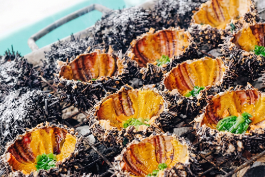 5 đặc sản Phú Quốc – ăn xong chỉ muốn ở lại đảo ngọc luôn 🌴✨