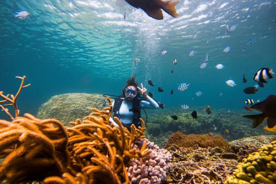 Tour Bình Hưng – Vĩnh Hy 2N2Đ: Ngủ đảo – Lặn san hô – Tiệc tôm hùm Bình Hưng mỗi khách 1 con 🦞🌊