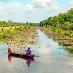 Cánh đồng bất tận