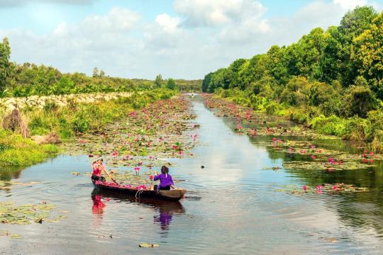 Cánh đồng bất tận