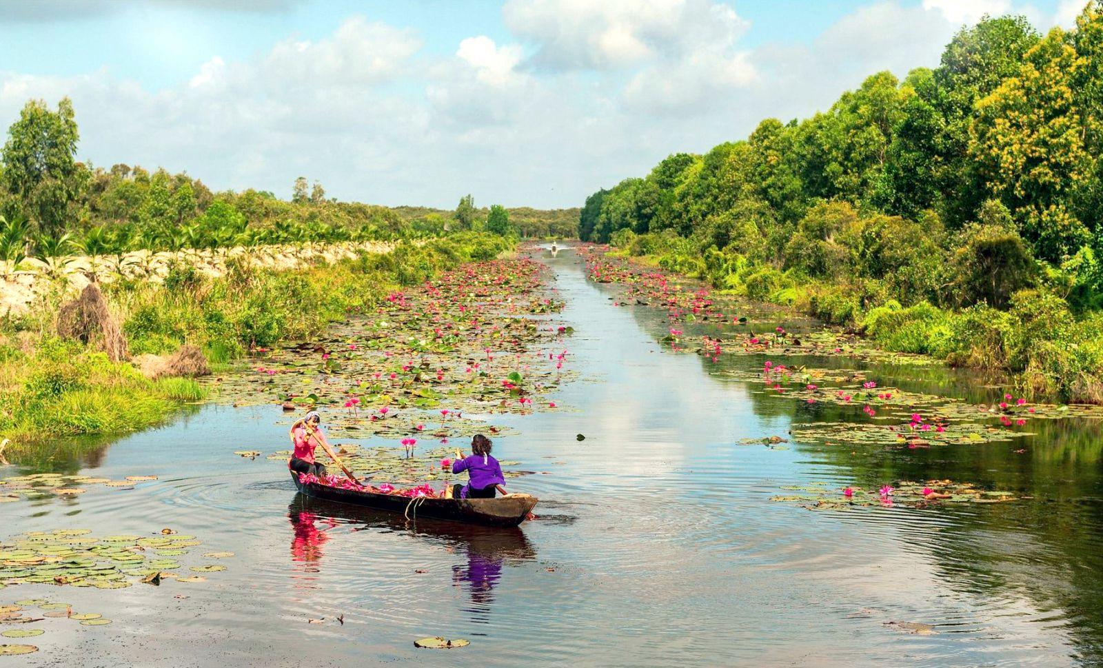 Rừng tràm gió nguyên sinh 2