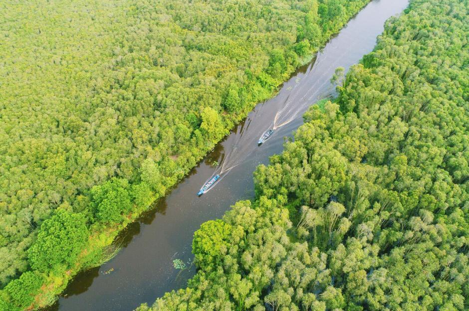 Rừng tràm gió nguyên sinh