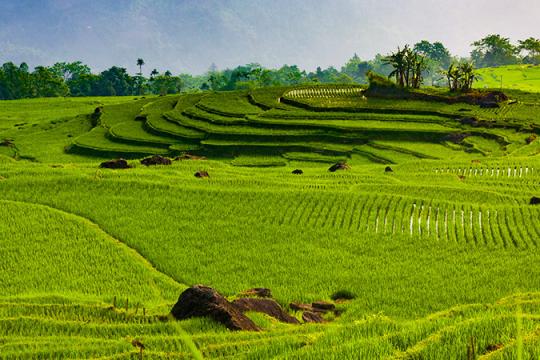 Du lịch Pù Luông (Thanh Hóa) 2025: Khám phá "Tiểu Bali" giữa lòng xứ Thanh từ A-Z